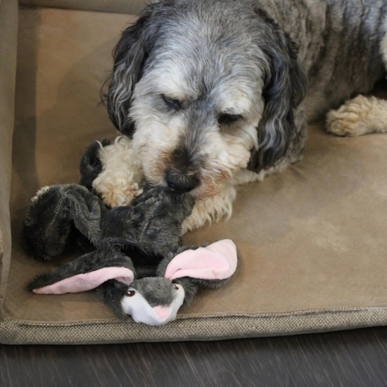 Ethical Dog White Skinneeez Multi Squeaker Rabbit, Assorted, 20 cm Ethical Dog White Skinneeez Multi Squeaker Rabbit, Assorted, 20 cm