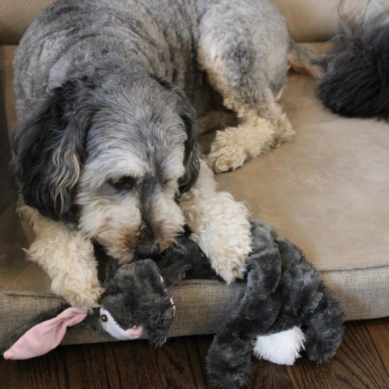 Ethical Dog White Skinneeez Multi Squeaker Rabbit, Assorted, 20 cm Ethical Dog White Skinneeez Multi Squeaker Rabbit, Assorted, 20 cm