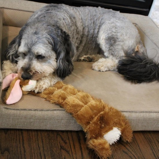 Ethical Dog White Skinneeez Multi Squeaker Rabbit, Assorted, 20 cm Ethical Dog White Skinneeez Multi Squeaker Rabbit, Assorted, 20 cm