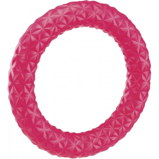 Ferplast Dog Toy Pull MAX 05, Dog Training Ring for Chewing, Running, Jumping, Shooting, Non-Toxic, Floating, Dog Toy for Medium Dogs Ferplast Dog Toy Pull MAX 05, Dog Training Ring for Chewing, Running, Jumping, Shooting, Non-Toxic, Floating, Dog Toy for Medium Dogs