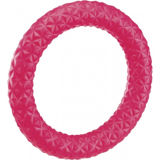 Ferplast Dog Toy Pull MAX 05, Dog Training Ring for Chewing, Running, Jumping, Shooting, Non-Toxic, Floating, Dog Toy for Medium Dogs Ferplast Dog Toy Pull MAX 05, Dog Training Ring for Chewing, Running, Jumping, Shooting, Non-Toxic, Floating, Dog Toy for Medium Dogs