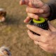 Ferplast Hunde Spielzeug, Futterspender, aus strapazierfähigem, ungiftigem, bissfestem Material, Zahnhygiene des Hundes, Springt und Schwimmt, CHEWA BOING Mittelgroß Futterball für Hunde, Schwarz Ferplast Hunde Spielzeug, Futterspender, aus strapazierfähigem, ungiftigem, bissfestem Material, Zahnhygiene des Hundes, Springt und Schwimmt, CHEWA BOING Mittelgroß Futterball für Hunde, Schwarz