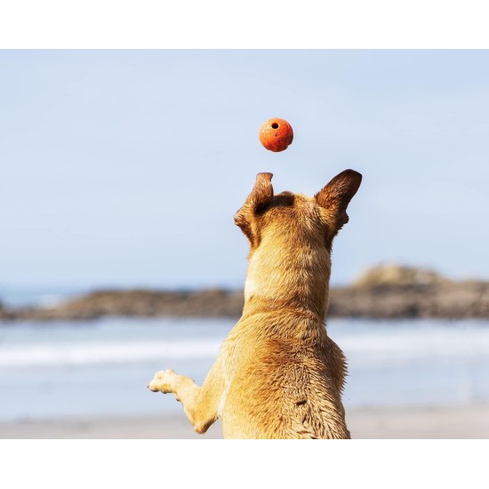 Fetch Dog Ball, Heavy Duty Rubber Dog Toy, Small Launcher Compatible Chew Toy for Dogs, Small, Pack of 2 Fetch Dog Ball, Heavy Duty Rubber Dog Toy, Small Launcher Compatible Chew Toy for Dogs, Small, Pack of 2