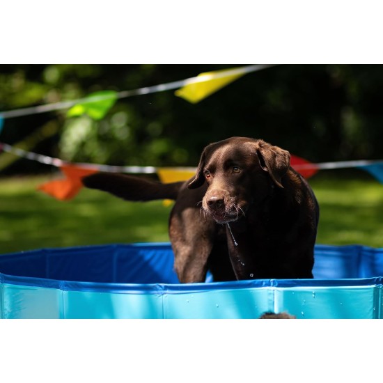 Flamingo F Doggy Splatter Pool Blue, 80 x 20 cm Flamingo F Doggy Splatter Pool Blue, 80 x 20 cm