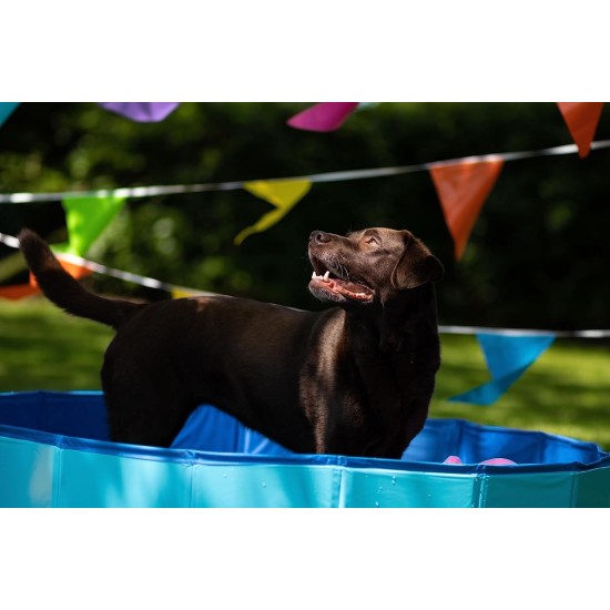 Flamingo F Doggy Splatter Pool Blue, 80 x 20 cm Flamingo F Doggy Splatter Pool Blue, 80 x 20 cm