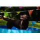 Flamingo F Doggy Splatter Pool Blue, 80 x 20 cm Flamingo F Doggy Splatter Pool Blue, 80 x 20 cm