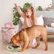 Flow fire Slow Feeder - Dog Puzzle Toy - Interactive Training Toy Box - Creative Dog, Intelligent Beginner, Improves Dog's IQ, Non-Slip, Slow Feeder for Flow fire Slow Feeder - Dog Puzzle Toy - Interactive Training Toy Box - Creative Dog, Intelligent Beginner, Improves Dog's IQ, Non-Slip, Slow Feeder for