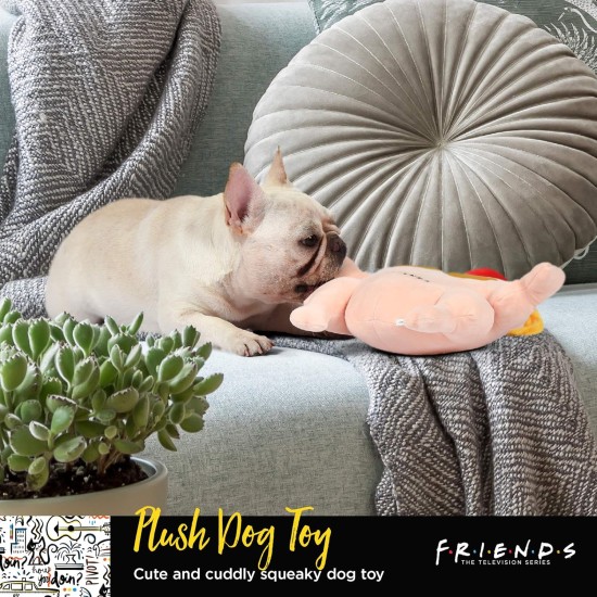Friends Dog Toy from TV Series Friends | 8" Purple and Gold Picture Frame from TV Series Friends Plush Toy Dog Toy Friends Dog Toy from TV Series Friends | 8" Purple and Gold Picture Frame from TV Series Friends Plush Toy Dog Toy
