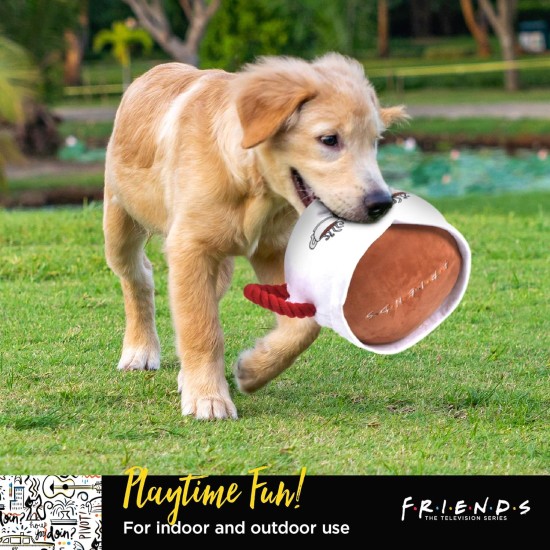 Friends Dog Toy from TV Series Friends | 8" Purple and Gold Picture Frame from TV Series Friends Plush Toy Dog Toy Friends Dog Toy from TV Series Friends | 8" Purple and Gold Picture Frame from TV Series Friends Plush Toy Dog Toy