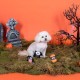 Fringe Studio Mini Dog Toy Set, Hey Boo, Set of 3 (289452)