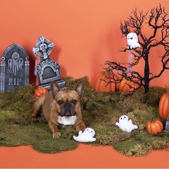 Fringe Studio Mini Dog Toy Set, Hey Boo, Set of 3 (289452) Fringe Studio Mini Dog Toy Set, Hey Boo, Set of 3 (289452)