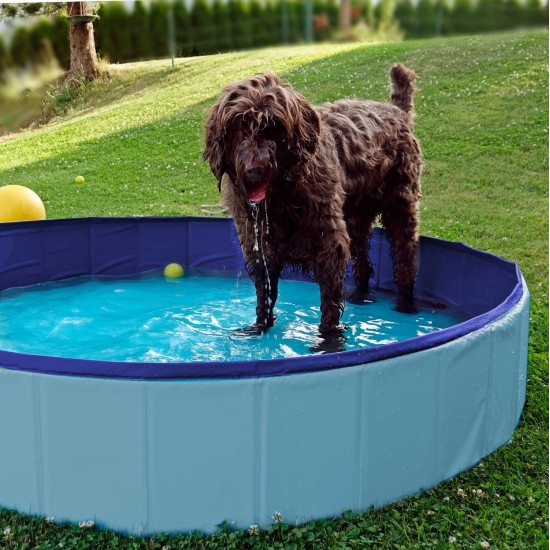 Furdreams Foldable Pet Swimming Pool, Hard Plastic Dog Bathtub, Portable, Multifunctional, Non-Slip PVC Kids Pool for Outdoor Use Enjoy Summer Shine in the Garden (Medium) Furdreams Foldable Pet Swimming Pool, Hard Plastic Dog Bathtub, Portable, Multifunctional, Non-Slip PVC Kids Pool for Outdoor Use Enjoy Summer Shine in the Garden (Medium)