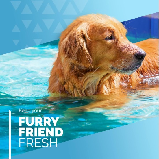 Furdreams Foldable Pet Swimming Pool, Hard Plastic Dog Bathtub, Portable, Multifunctional, Non-Slip PVC Kids Pool for Outdoor Use Enjoy Summer Shine in the Garden (Medium) Furdreams Foldable Pet Swimming Pool, Hard Plastic Dog Bathtub, Portable, Multifunctional, Non-Slip PVC Kids Pool for Outdoor Use Enjoy Summer Shine in the Garden (Medium)