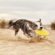 Gloria Frisbee para Perros Gloria Frisbee para Perros
