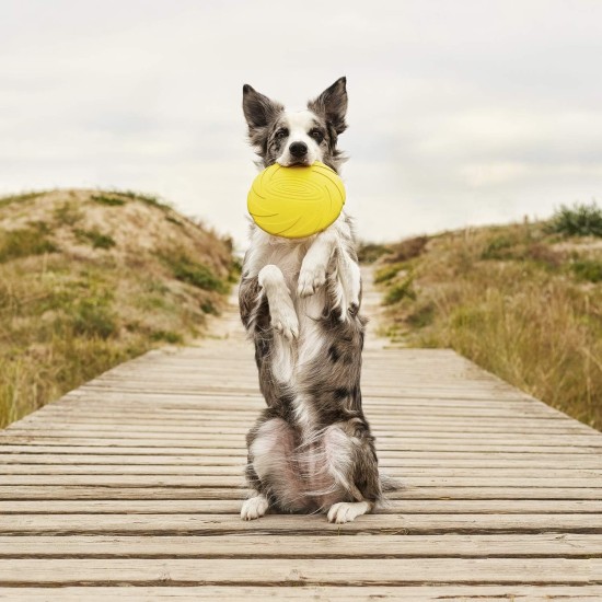 Gloria Frisbee para Perros Gloria Frisbee para Perros