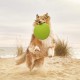 Gloria Frisbee para Perros Gloria Frisbee para Perros
