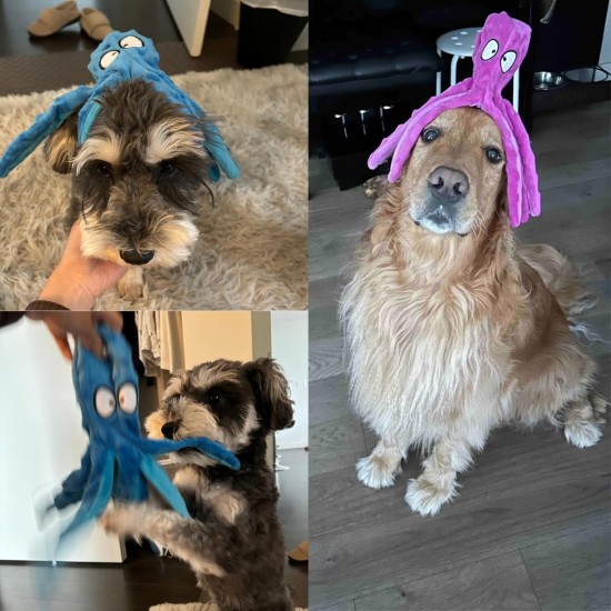 HGB Squeaky Dog Toy, Octopus, No Stuffing, Crinkle Plush Chew Toy for Puppy Teeth, Pet Training and Entertainment, Durable, Medium and Large Dogs, Pack of 2 HGB Squeaky Dog Toy, Octopus, No Stuffing, Crinkle Plush Chew Toy for Puppy Teeth, Pet Training and Entertainment, Durable, Medium and Large Dogs, Pack of 2