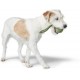 HUNTER Inari Dog Toy Beige Size 10 cm HUNTER Inari Dog Toy Beige Size 10 cm