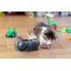 HUNTER Toy Dog / Cat KEM HUNTER Toy Dog / Cat KEM