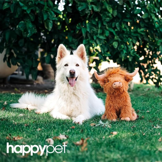 Happy Pet Jumbo Mushroom Dog Toy, Large Plush Toy, Super Soft, Comfortable for Pets, Large Cuddly and Comfortable Companion Happy Pet Jumbo Mushroom Dog Toy, Large Plush Toy, Super Soft, Comfortable for Pets, Large Cuddly and Comfortable Companion
