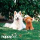 Happy Pet Jumbo Mushroom Dog Toy, Large Plush Toy, Super Soft, Comfortable for Pets, Large Cuddly and Comfortable Companion Happy Pet Jumbo Mushroom Dog Toy, Large Plush Toy, Super Soft, Comfortable for Pets, Large Cuddly and Comfortable Companion