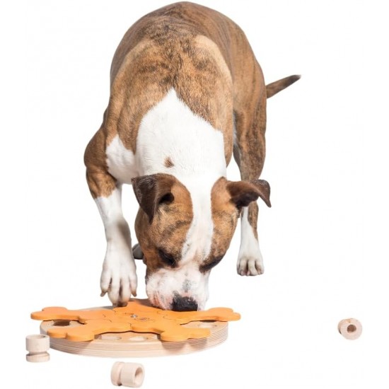 Happy Roll - My Intelligent Dogs Interaktives Hunde- und Katzenspielzeug Hundespielzeug für Hunde Hundespielzeug kleine und große Hunde Hunde Spielzeug Happy Roll - My Intelligent Dogs Interaktives Hunde- und Katzenspielzeug Hundespielzeug für Hunde Hundespielzeug kleine und große Hunde Hunde Spielzeug