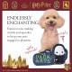 Harry Potter Voldemort 2 Piece Dog Toy Set, 6 Inch You Know Who Plush Figure, Toy and Dark Arts Plush Silhouette, Flat Toy, Official Pet Toy and Accessories, Voldemort Harry Potter Voldemort 2 Piece Dog Toy Set, 6 Inch You Know Who Plush Figure, Toy and Dark Arts Plush Silhouette, Flat Toy, Official Pet Toy and Accessories, Voldemort