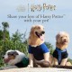 Harry Potter Voldemort 2 Piece Dog Toy Set, 6 Inch You Know Who Plush Figure, Toy and Dark Arts Plush Silhouette, Flat Toy, Official Pet Toy and Accessories, Voldemort Harry Potter Voldemort 2 Piece Dog Toy Set, 6 Inch You Know Who Plush Figure, Toy and Dark Arts Plush Silhouette, Flat Toy, Official Pet Toy and Accessories, Voldemort