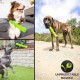 Hyper Pet Dura-Squeaks Stick, Green Large Hyper Pet Dura-Squeaks Stick, Green Large