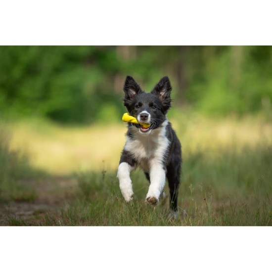 JACK AND VANILLA, Flatties Cow Dog Toy, White/Black, 45 cm, Realistic Design, Sounds and Washable, Ideal for Interactive Games, Bright Colours JACK AND VANILLA, Flatties Cow Dog Toy, White/Black, 45 cm, Realistic Design, Sounds and Washable, Ideal for Interactive Games, Bright Colours