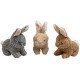 JACK AND VANILLA, Gänse-Plüschtier für Hunde und Katzen, weich und sicher, REGT den Spieltrieb an, maschinenwaschbar, 30 cm, Rassen JACK AND VANILLA, Gänse-Plüschtier für Hunde und Katzen, weich und sicher, REGT den Spieltrieb an, maschinenwaschbar, 30 cm, Rassen