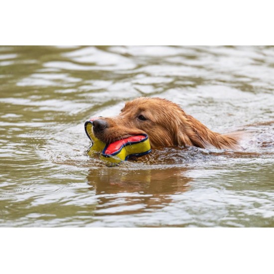 JACK AND VANILLA, Interactive Alligator Cuddly Toy for Dogs and Cats, Integrated Squeaker, Durable and Non-Toxic Materials, Easy to Clean, 18 cm, Green JACK AND VANILLA, Interactive Alligator Cuddly Toy for Dogs and Cats, Integrated Squeaker, Durable and Non-Toxic Materials, Easy to Clean, 18 cm, Green