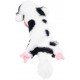JACK AND VANILLA, Interactive Alligator Cuddly Toy for Dogs and Cats, Integrated Squeaker, Durable and Non-Toxic Materials, Easy to Clean, 18 cm, Green JACK AND VANILLA, Interactive Alligator Cuddly Toy for Dogs and Cats, Integrated Squeaker, Durable and Non-Toxic Materials, Easy to Clean, 18 cm, Green