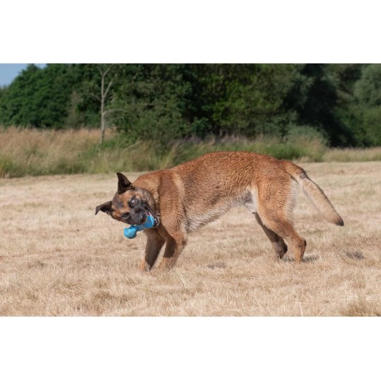 JACK AND VANILLA, Interaktives Hundespielzeug aus gedrehtem Knochen, Speckduft, langlebig und ungiftig, ideal zum Spielen drinnen und draußen, 11 cm, Mehrfarbig, Playscent-Modell JACK AND VANILLA, Interaktives Hundespielzeug aus gedrehtem Knochen, Speckduft, langlebig und ungiftig, ideal zum Spielen drinnen und draußen, 11 cm, Mehrfarbig, Playscent-Modell
