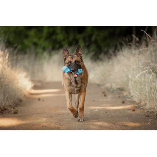 JACK AND VANILLA, Interaktives Hundespielzeug aus gedrehtem Knochen, Speckduft, langlebig und ungiftig, ideal zum Spielen drinnen und draußen, 11 cm, Mehrfarbig, Playscent-Modell JACK AND VANILLA, Interaktives Hundespielzeug aus gedrehtem Knochen, Speckduft, langlebig und ungiftig, ideal zum Spielen drinnen und draußen, 11 cm, Mehrfarbig, Playscent-Modell