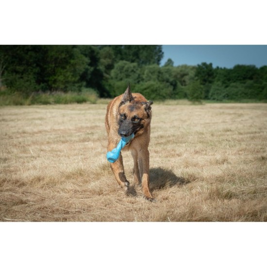 JACK AND VANILLA, Interaktives Hundespielzeug aus gedrehtem Knochen, Speckduft, langlebig und ungiftig, ideal zum Spielen drinnen und draußen, 11 cm, Mehrfarbig, Playscent-Modell JACK AND VANILLA, Interaktives Hundespielzeug aus gedrehtem Knochen, Speckduft, langlebig und ungiftig, ideal zum Spielen drinnen und draußen, 11 cm, Mehrfarbig, Playscent-Modell