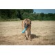 JACK AND VANILLA, Interaktives Hundespielzeug aus gedrehtem Knochen, Speckduft, langlebig und ungiftig, ideal zum Spielen drinnen und draußen, 11 cm, Mehrfarbig, Playscent-Modell JACK AND VANILLA, Interaktives Hundespielzeug aus gedrehtem Knochen, Speckduft, langlebig und ungiftig, ideal zum Spielen drinnen und draußen, 11 cm, Mehrfarbig, Playscent-Modell