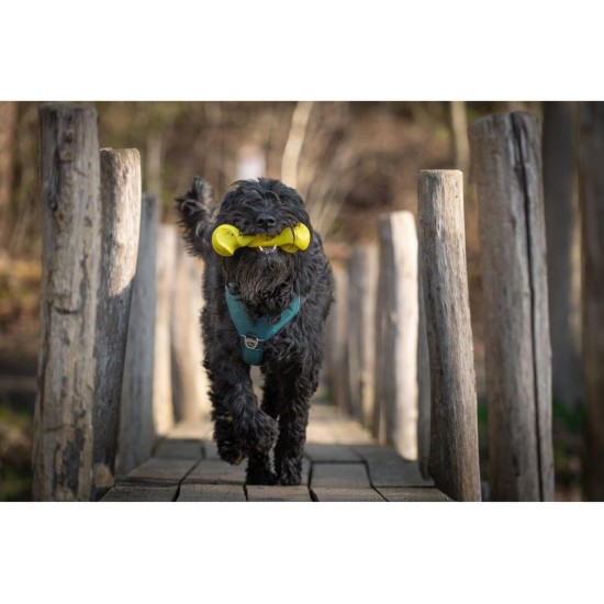 JACK AND VANILLA, Interaktives Hundespielzeug aus gedrehtem Knochen, Speckduft, langlebig und ungiftig, ideal zum Spielen drinnen und draußen, 11 cm, Mehrfarbig, Playscent-Modell JACK AND VANILLA, Interaktives Hundespielzeug aus gedrehtem Knochen, Speckduft, langlebig und ungiftig, ideal zum Spielen drinnen und draußen, 11 cm, Mehrfarbig, Playscent-Modell