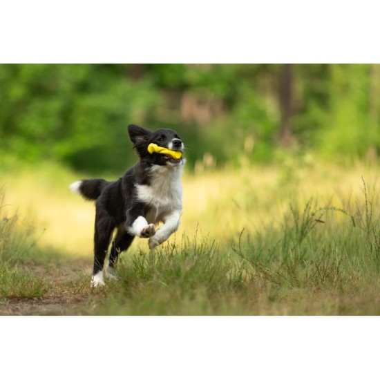 JACK AND VANILLA, Interaktives Hundespielzeug aus gedrehtem Knochen, Speckduft, langlebig und ungiftig, ideal zum Spielen drinnen und draußen, 11 cm, Mehrfarbig, Playscent-Modell JACK AND VANILLA, Interaktives Hundespielzeug aus gedrehtem Knochen, Speckduft, langlebig und ungiftig, ideal zum Spielen drinnen und draußen, 11 cm, Mehrfarbig, Playscent-Modell