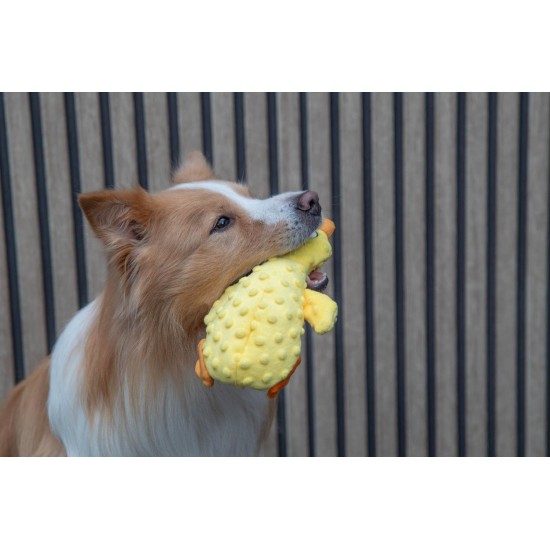 JACK AND VANILLA, Interaktives Oktopus-Hundespielzeug, weich und langlebig, ideal für große Hunde, 45 cm, dunkelblaue Farbe, perfekt zum Spielen und Kuscheln, Bubble-Plüschmodell JACK AND VANILLA, Interaktives Oktopus-Hundespielzeug, weich und langlebig, ideal für große Hunde, 45 cm, dunkelblaue Farbe, perfekt zum Spielen und Kuscheln, Bubble-Plüschmodell