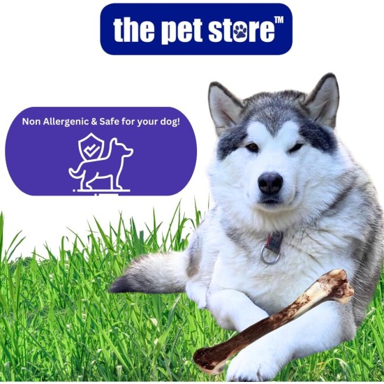 J&E Importers The Pet Store Pet Boutique Super Soft Squeaky Designer Bone Soft Plush Toy - Tan J&E Importers The Pet Store Pet Boutique Super Soft Squeaky Designer Bone Soft Plush Toy - Tan