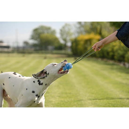JK9 Duoplay Antibacterial Ball, Large JK9 Duoplay Antibacterial Ball, Large
