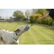 JK9 Duoplay Antibacterial Ball, Large JK9 Duoplay Antibacterial Ball, Large