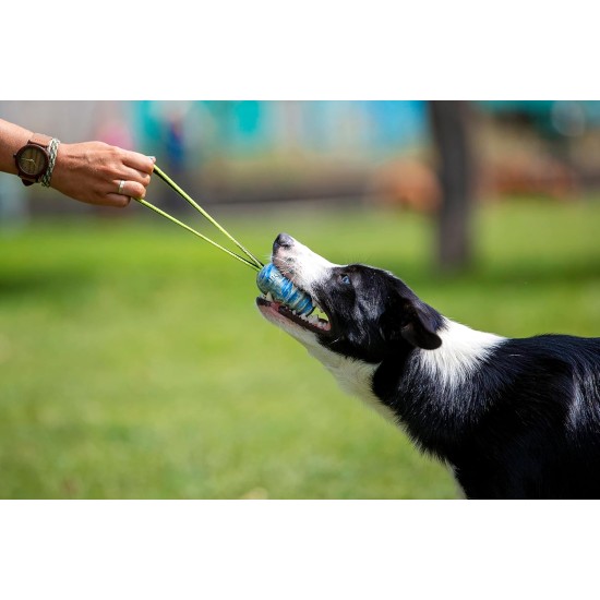 JK9 Duoplay Antibacterial Ball, Large JK9 Duoplay Antibacterial Ball, Large