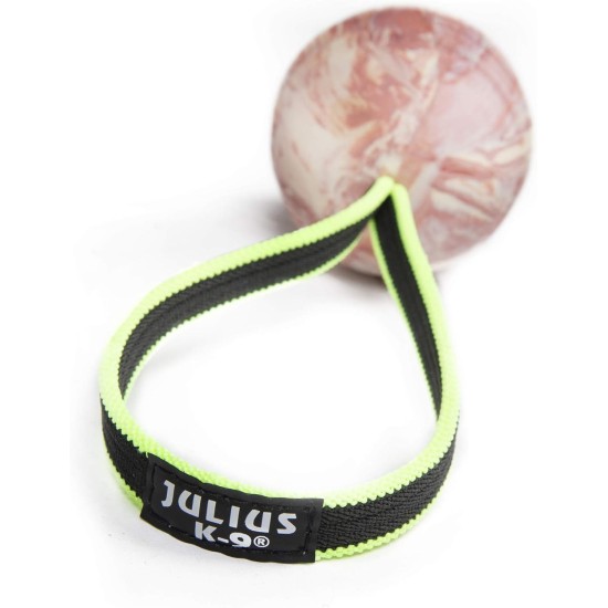 JK9 Duoplay Antibacterial Ball, Small JK9 Duoplay Antibacterial Ball, Small
