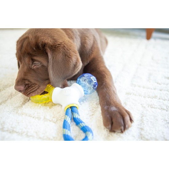 JW - Puppy Connects Teething Chew - Puppy Chew Toy - Relieves Toothache - 3 Different Attachments - Tooth Ring - Rope - Plastic Ball - One Size for Puppies JW - Puppy Connects Teething Chew - Puppy Chew Toy - Relieves Toothache - 3 Different Attachments - Tooth Ring - Rope - Plastic Ball - One Size for Puppies