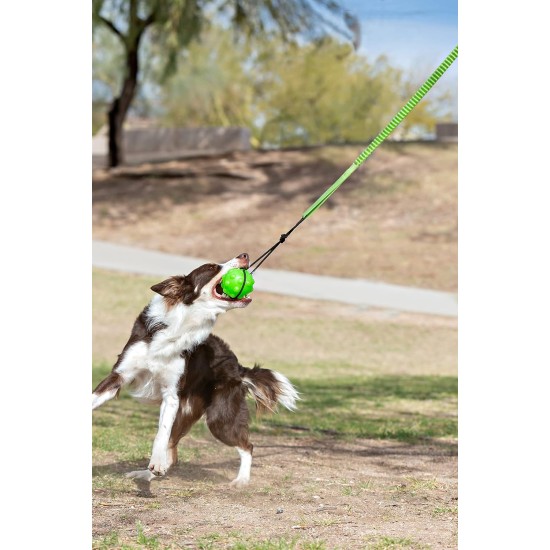 Jolly Pets Dog Train Toy Tree - Green Jolly Pets Dog Train Toy Tree - Green
