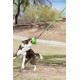 Jolly Pets Dog Train Toy Tree - Green Jolly Pets Dog Train Toy Tree - Green