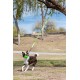 Jolly Pets Dog Train Toy Tree - Green Jolly Pets Dog Train Toy Tree - Green
