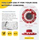 KADTC Puzzle Toy for Boredom and Mental Stimulating Best Slow Feeder Busy Puppy Brain Games Mental Stimulation Toy Level 4 in 1 KADTC Puzzle Toy for Boredom and Mental Stimulating Best Slow Feeder Busy Puppy Brain Games Mental Stimulation Toy Level 4 in 1
